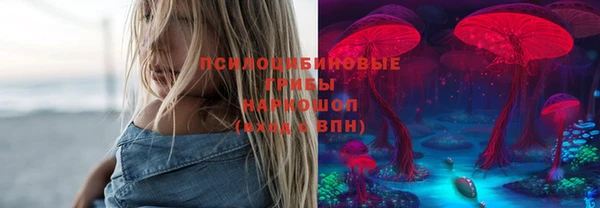 сатива Зеленокумск