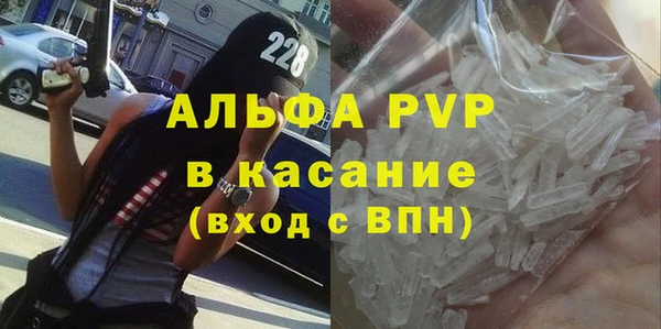 сатива Зеленокумск