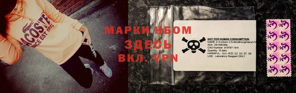 сатива Зеленокумск