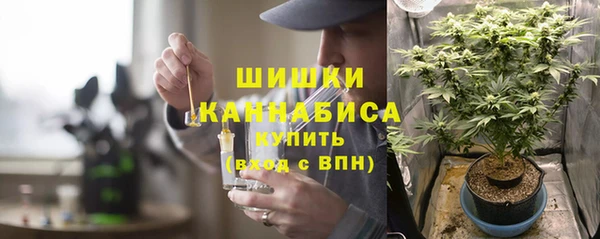 сатива Зеленокумск