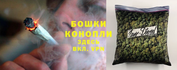 сатива Зеленокумск