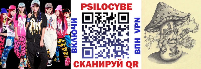Псилоцибиновые грибы Psilocybe  Купить закладки  Черняховск 